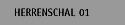 Herrenschal 01