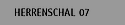 Herrenschal 07