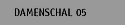 Damenschal 05