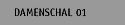 Damenschal 01