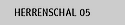Herrenschal 05