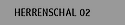 Herrenschal 02
