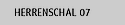 Herrenschal 07