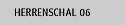 Herrenschal 06